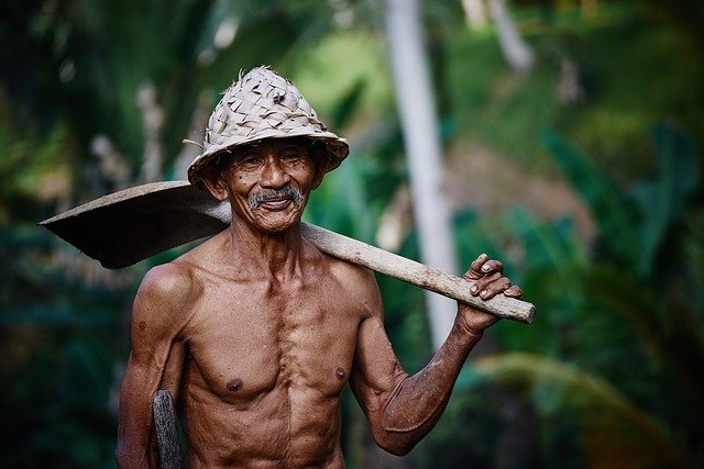 Workers profit in Company in Bangladesh